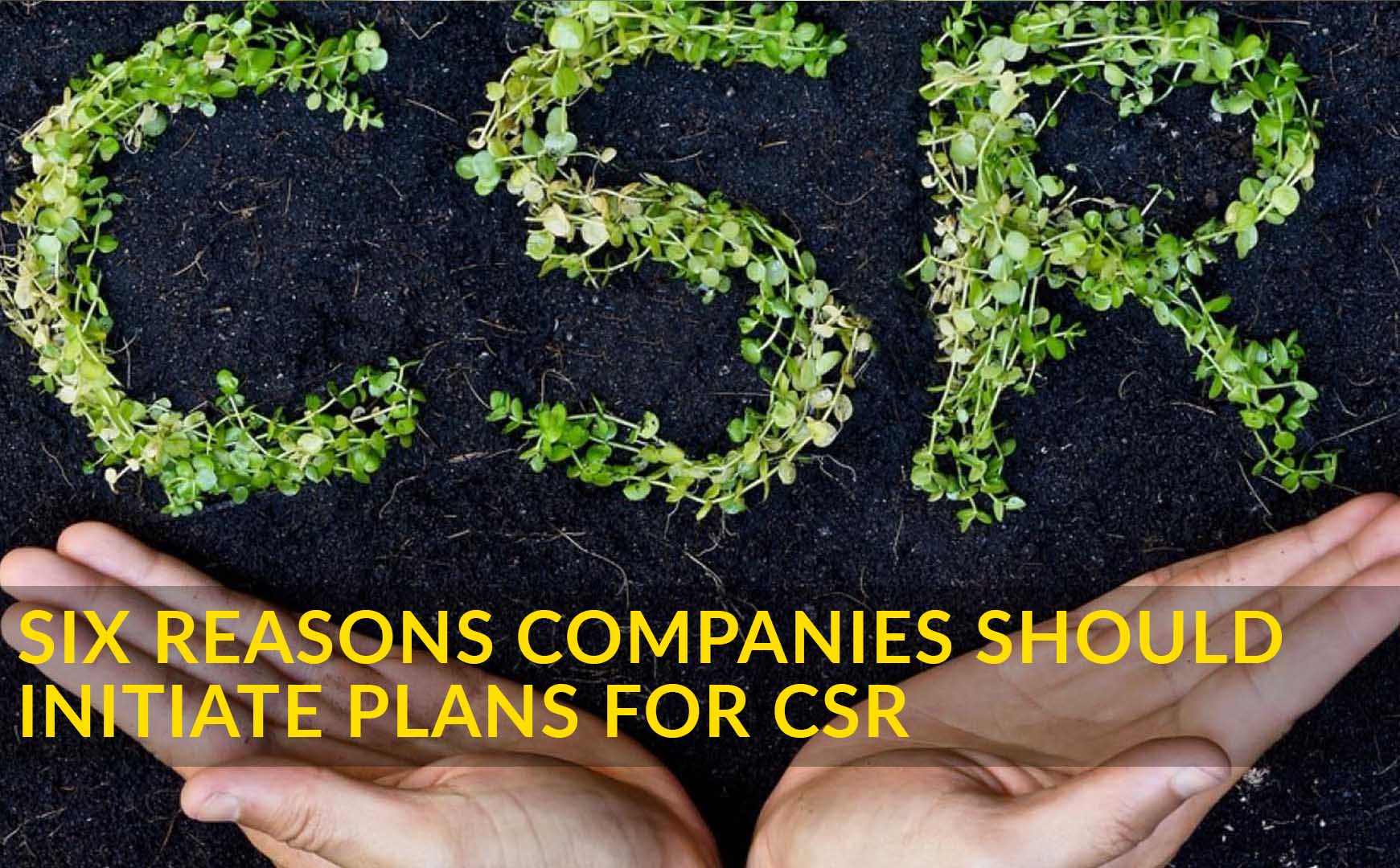 Six Reasons Companies Should Initiate Plans for CSR